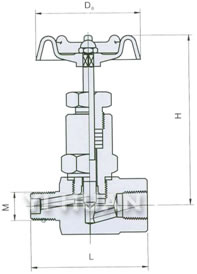 j21w-hneiwailuowenyalibiaozhenxingfa-2.jpg